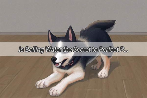 Is Boiling Water the Secret to Perfect Puppy Formula Discover the Truth